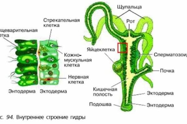 Открыть супернет