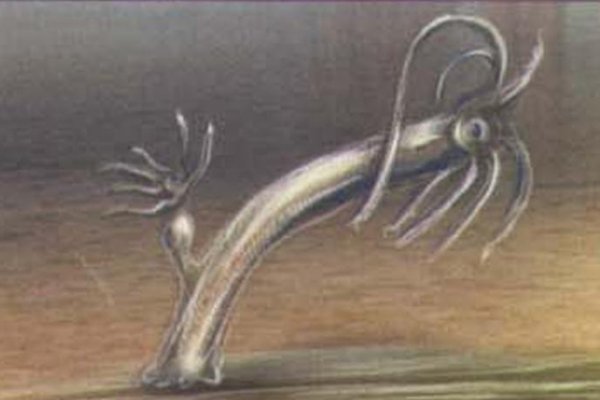 Замена hydra