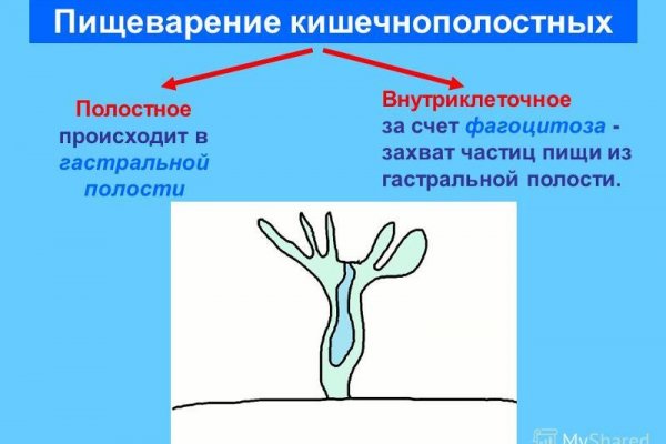 Что такое кракен сайт