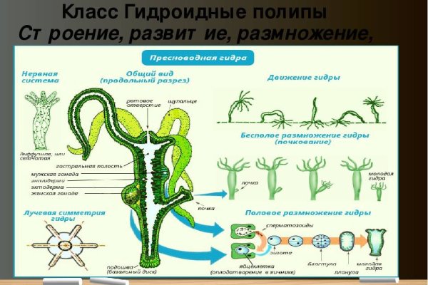 Кракен ссылка работает