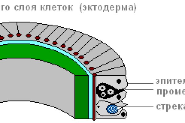 Почему не могу зайти на кракен