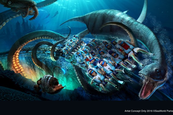 Kraken com whitenet