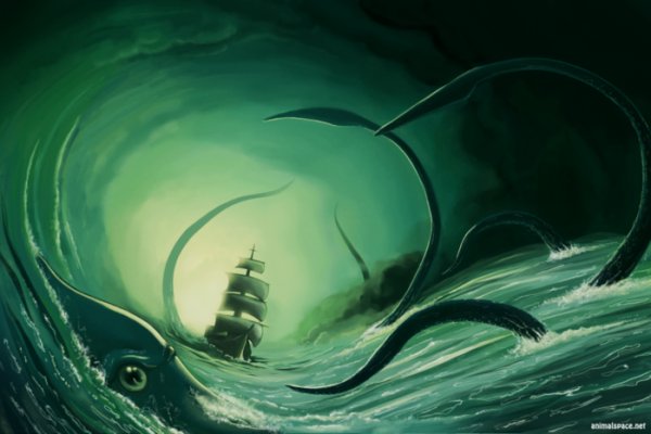 Kraken whitenet market