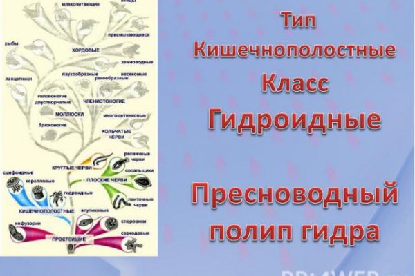 Кракен супернет krawebes