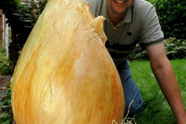 Tor kraken маркет