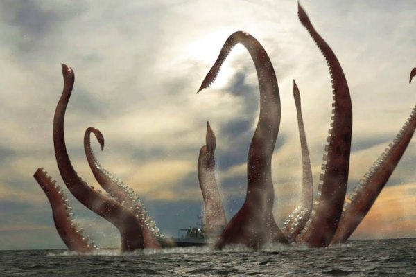 Kraken whitenet market ссылка