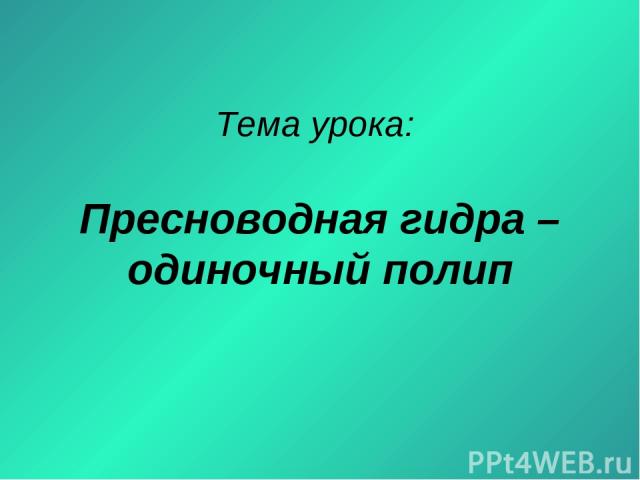2krn cc кракен