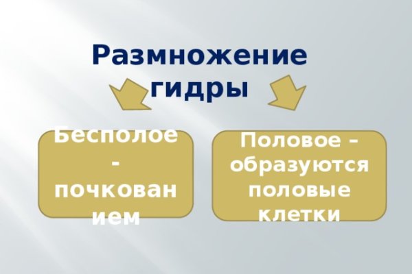 Кракен вход на сайт