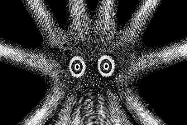 Kraken onion сайта