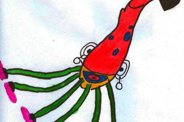 Kraken 19at