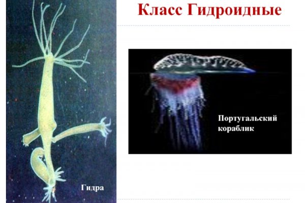 Оригинальная ссылка кракен браузера